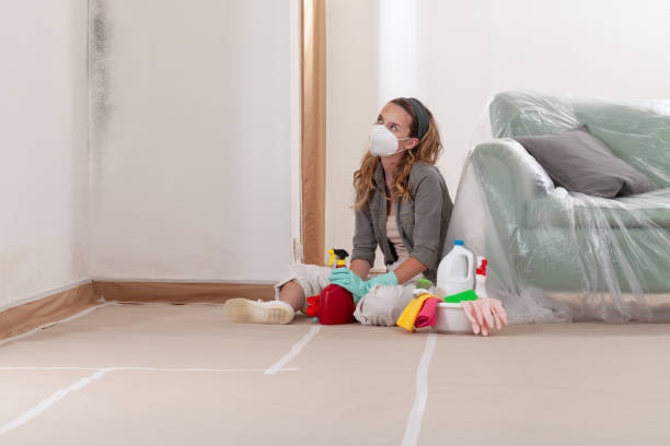 Reliable Commercial Mold Remediation contractor in Groveland, MA by WQB Mold Removal
